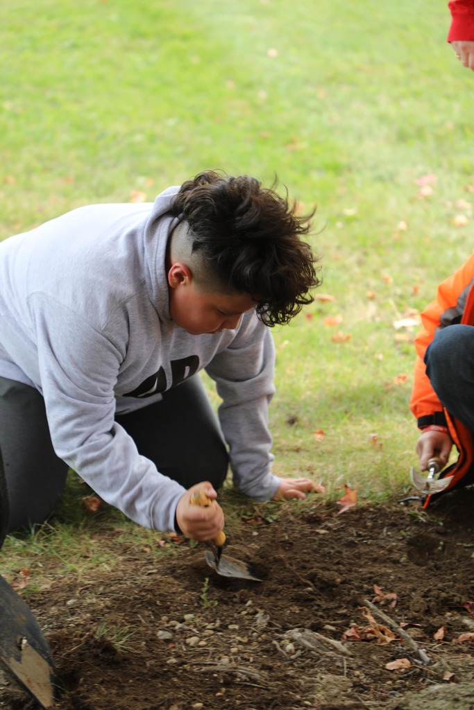 Student planting tulips bulbs