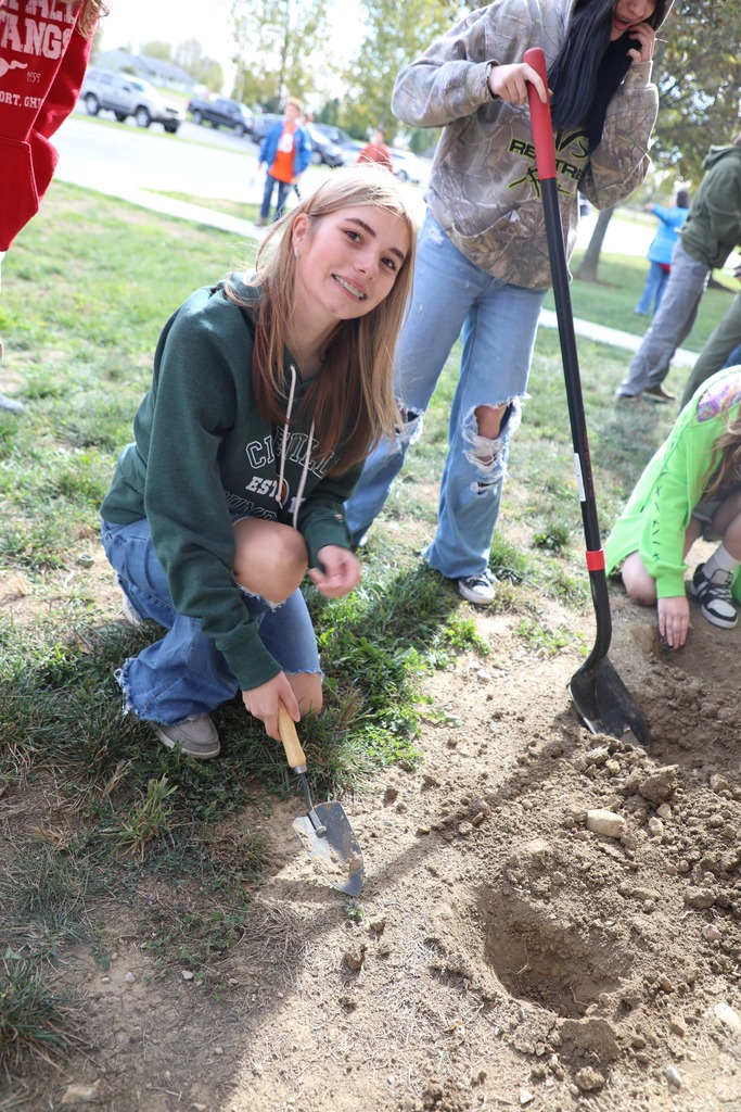 Student planting tulips bulbs