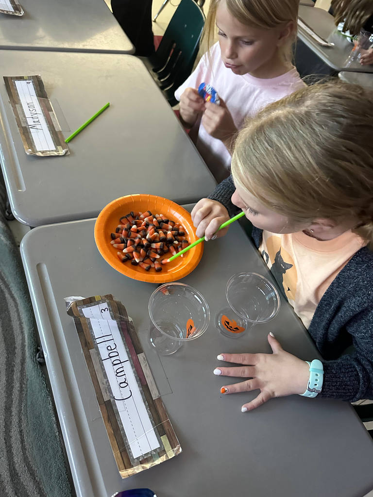 Students enjoying their harvest party