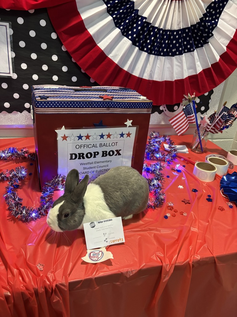 Clara the preschool class bunny with her write in vote for carrots