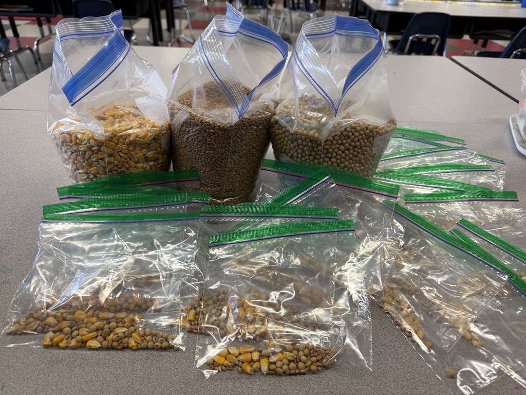 Ziploc bags with corn, wheat, and soy inside