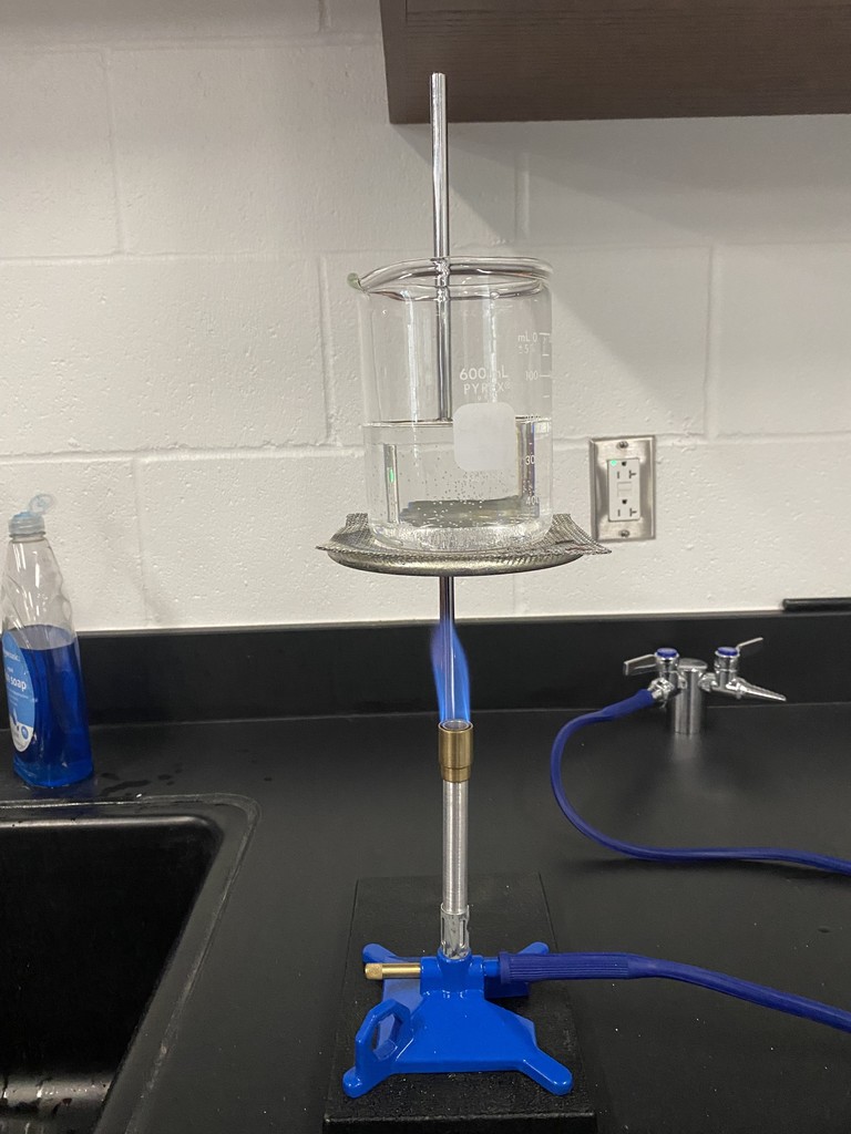 Students in a Science Lab