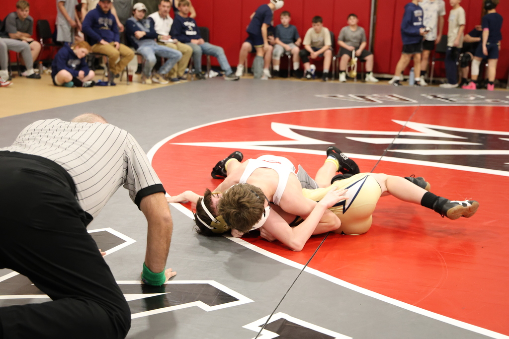 Wrestlers on the mat