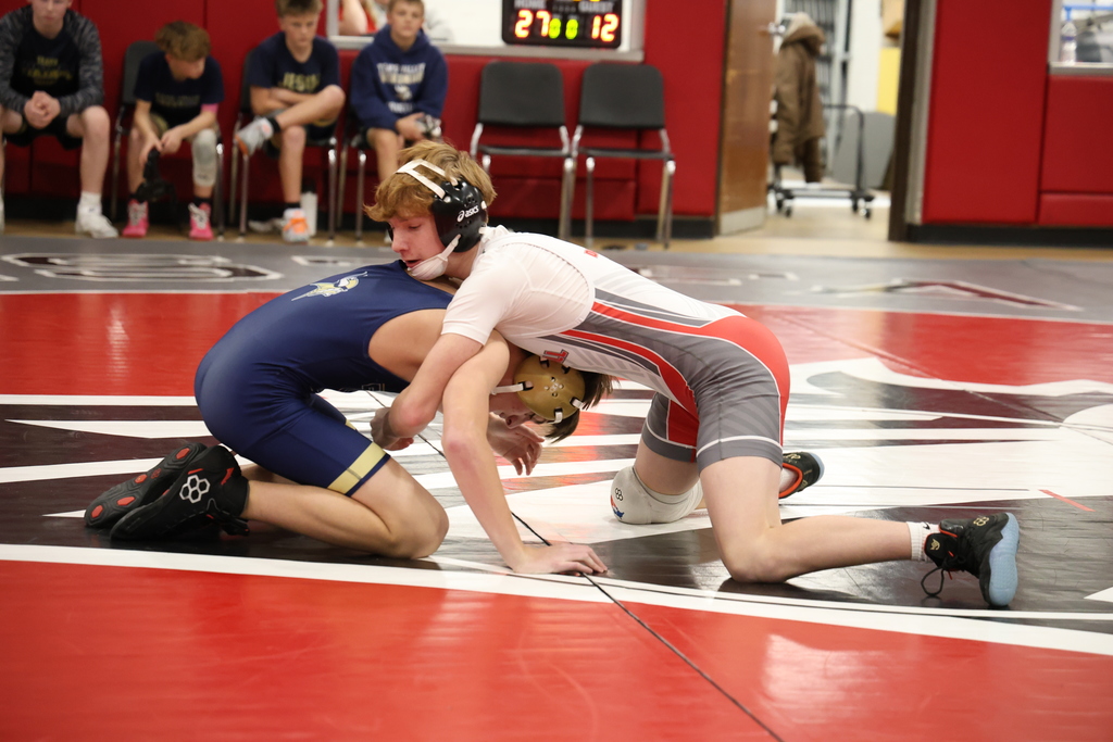 Wrestlers on the mat