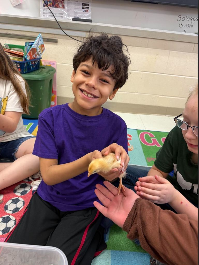 Student holding baby chick