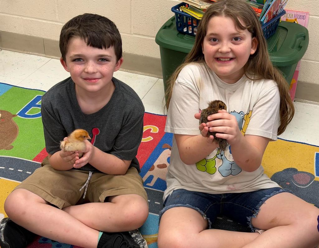 Students holding baby chicks