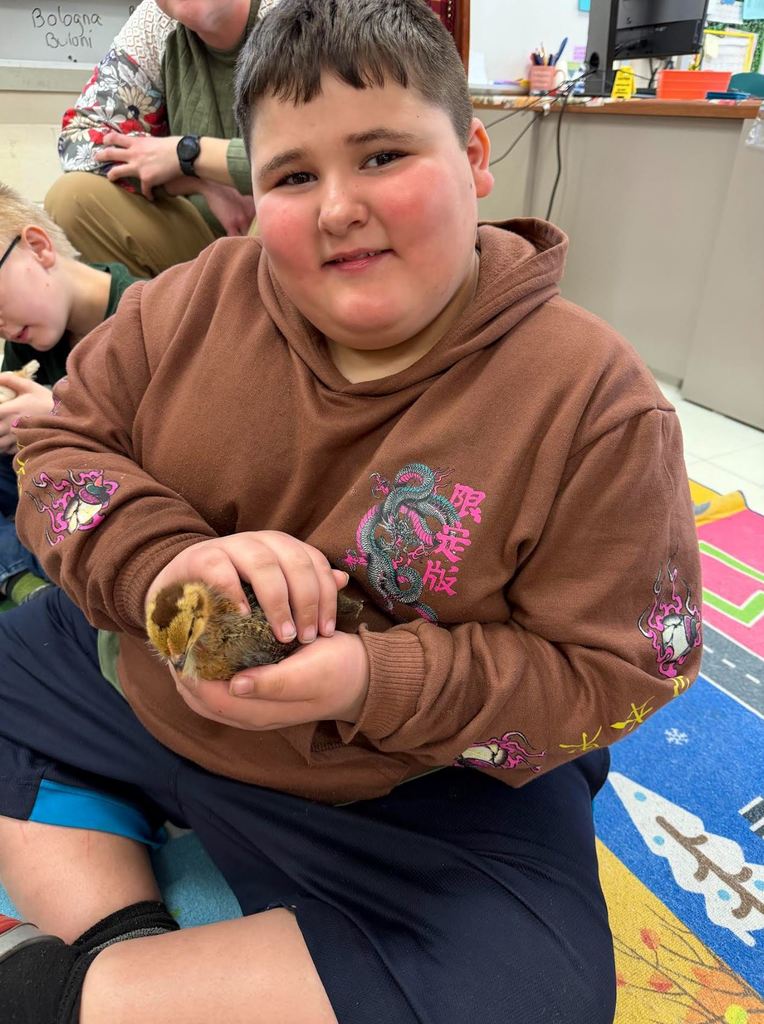 Student holding baby chick
