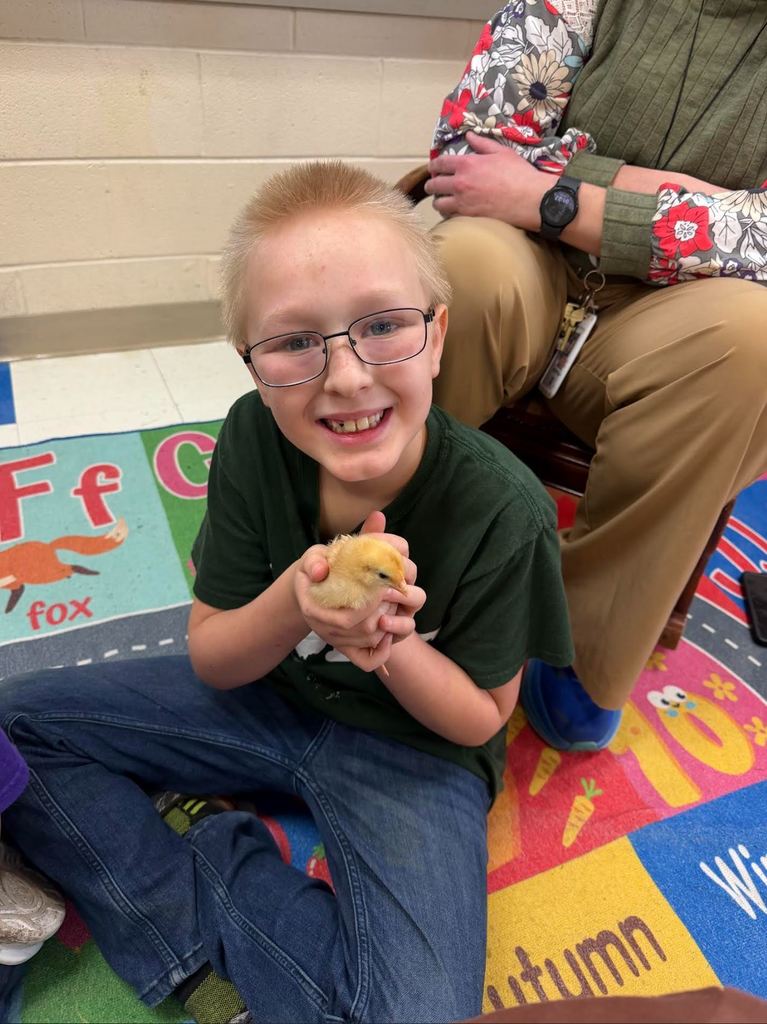 Student holding baby chick