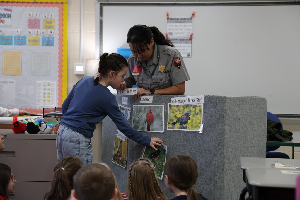 Female student attaching a picture of a bird onto the display board in front of the Park Ranger