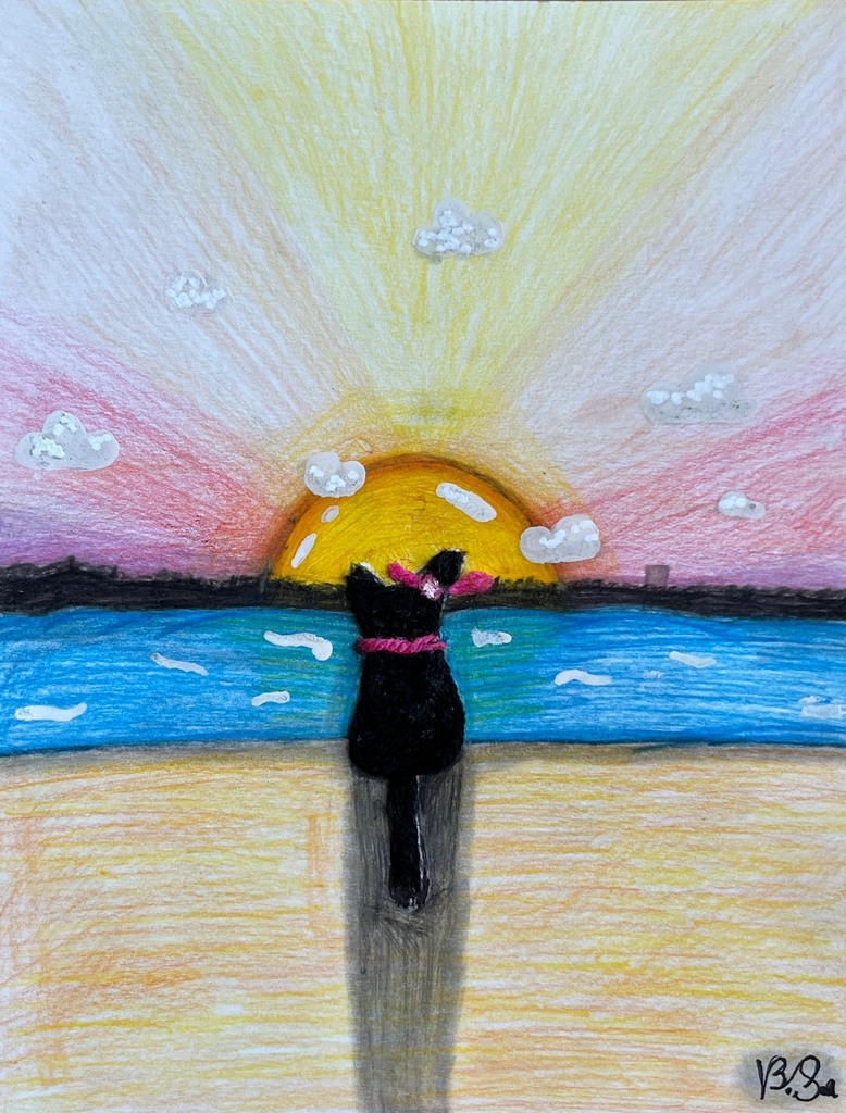 Colorful artwork of a cat sitting on a beach looking out over water with a sunrise in distance