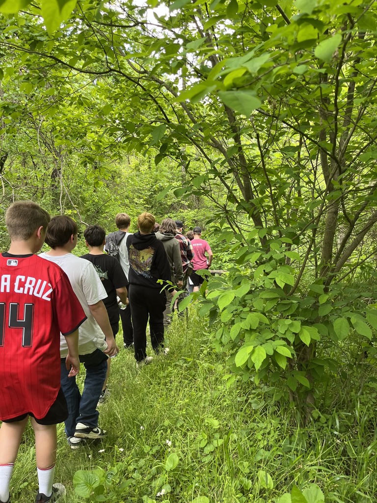 Students walking through the woods