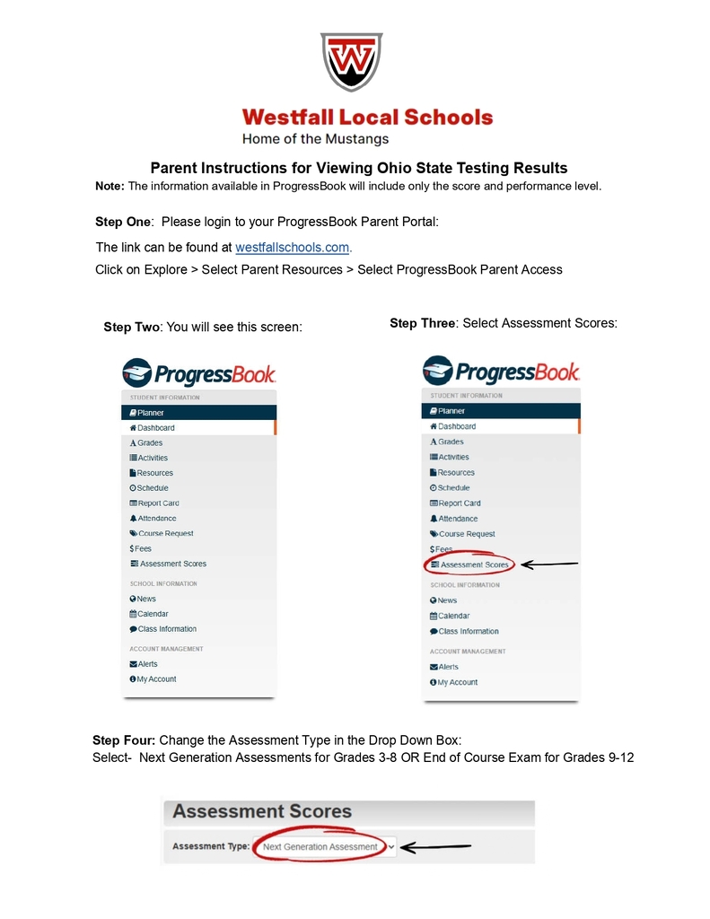 Parent Instructions for Viewing Ohio State Testing Results