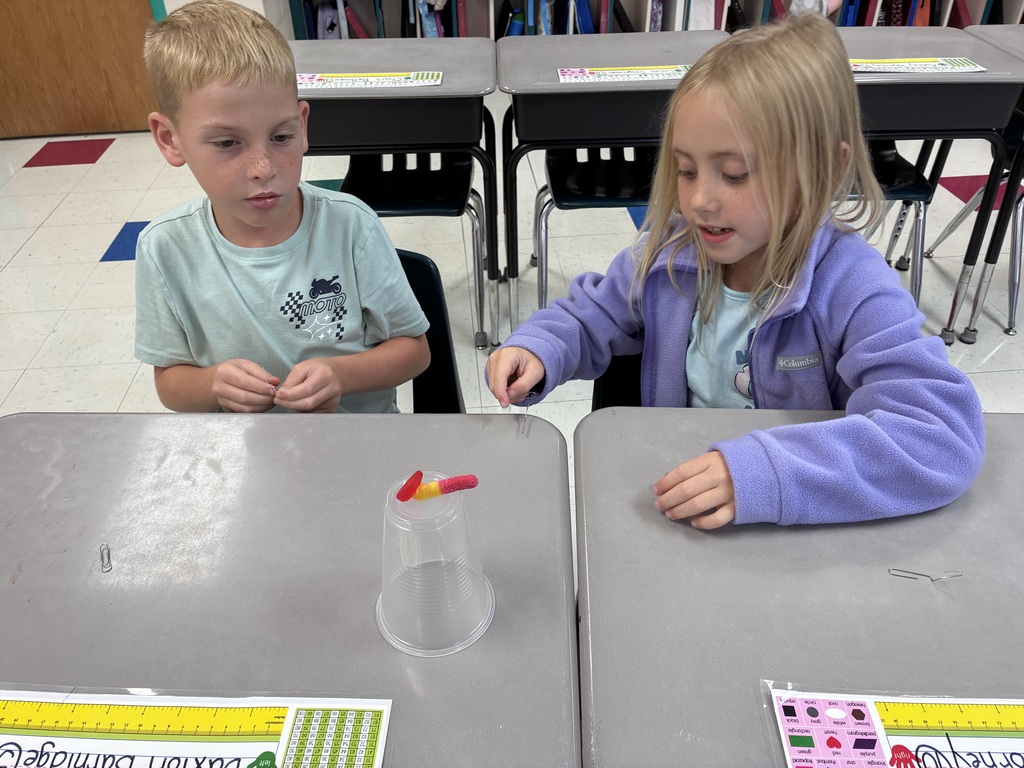 Students using paper clips to hold their gummy worm