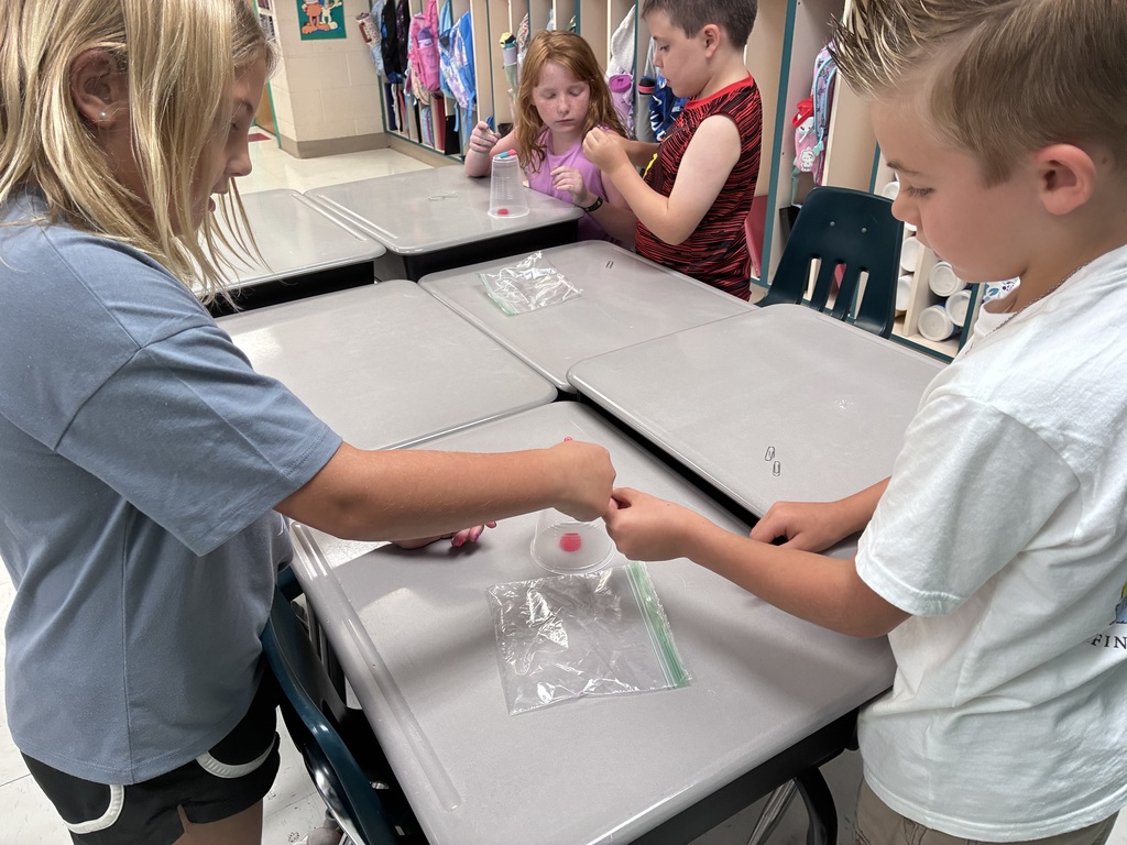 Students using paper clips to hold their gummy worm