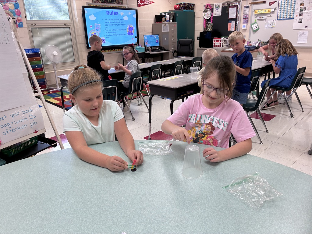 Students using paper clips to hold their gummy worm