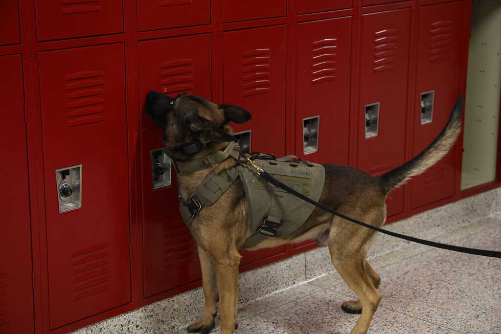 K9 Gacki checking lockers