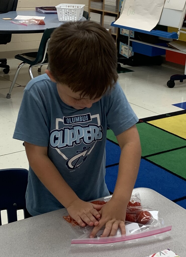student smashing tomatoes in a ziploc bag