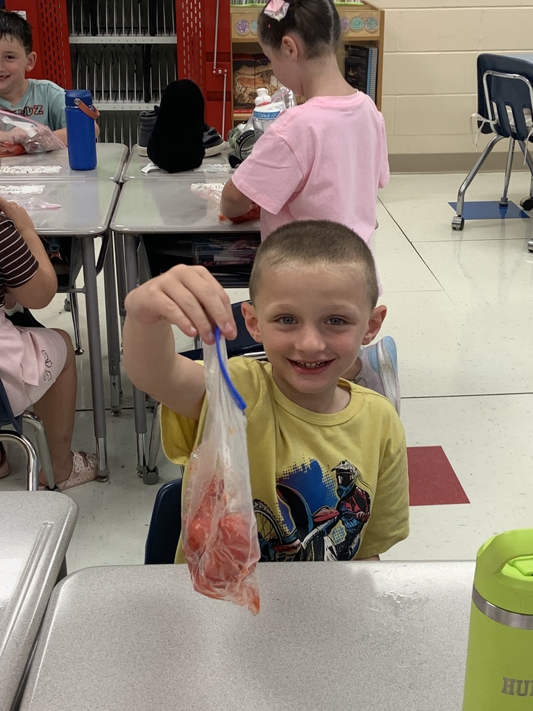Student holding up a ziploc bag full of tomatoes