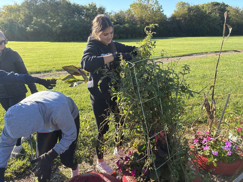 NHS Community Action Day
