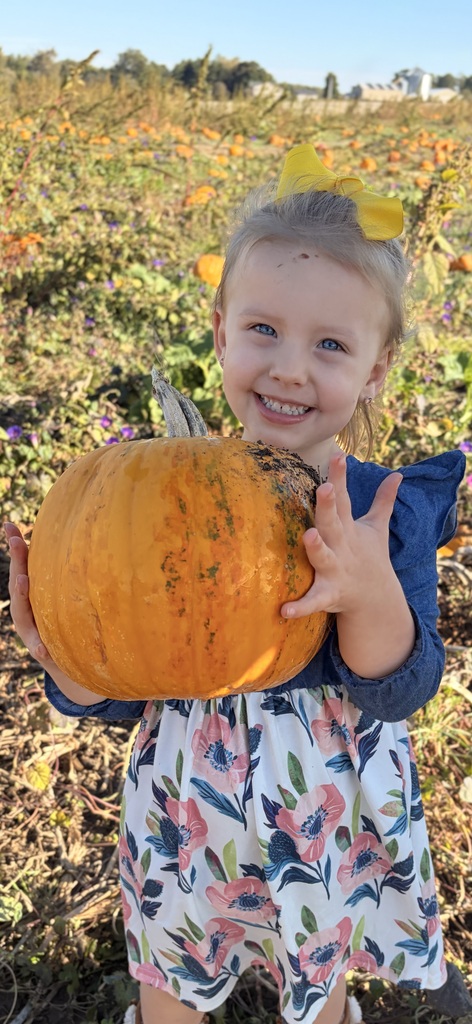 Preschool Field Trip to Lohstroh's Family Farms
