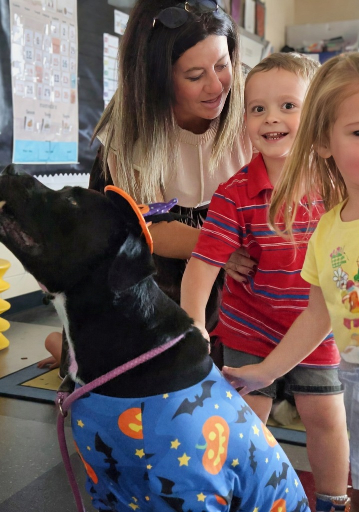 Students petting dog