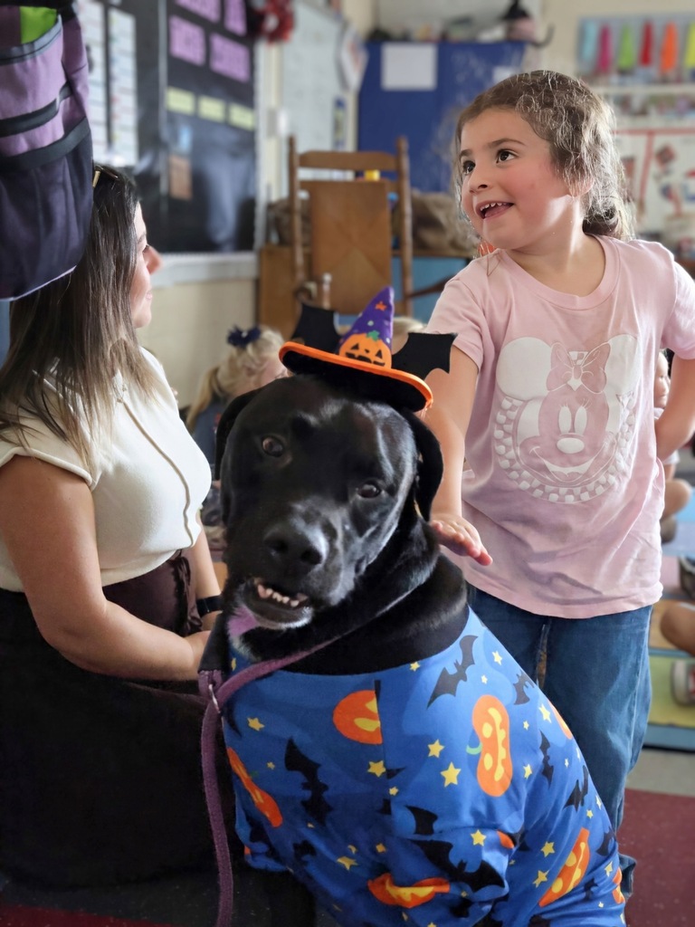 Students petting dog