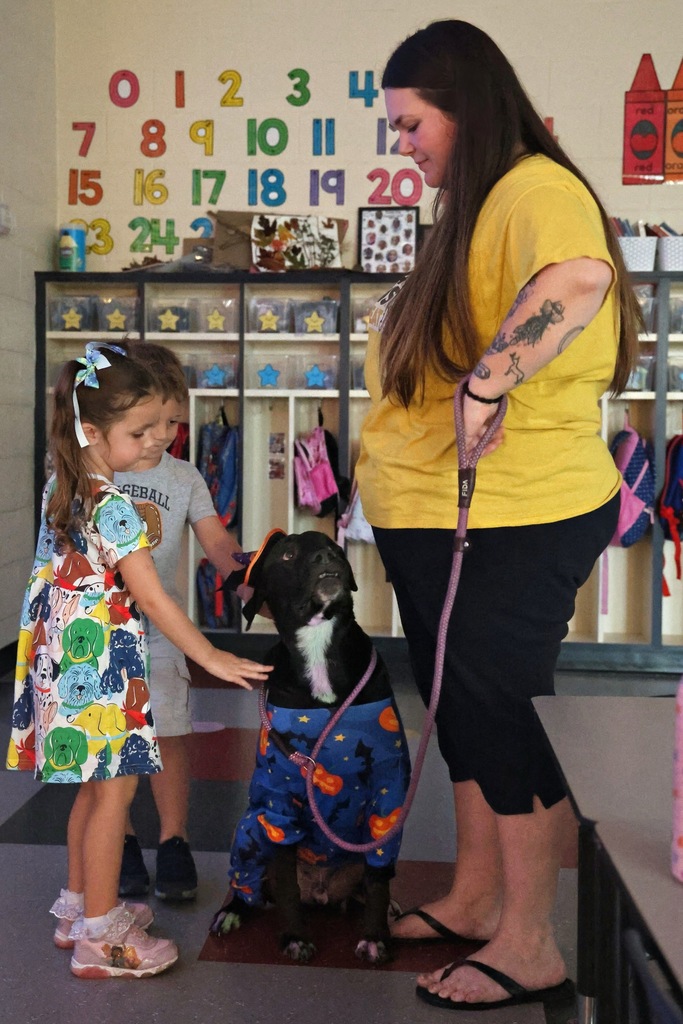 Students petting dog