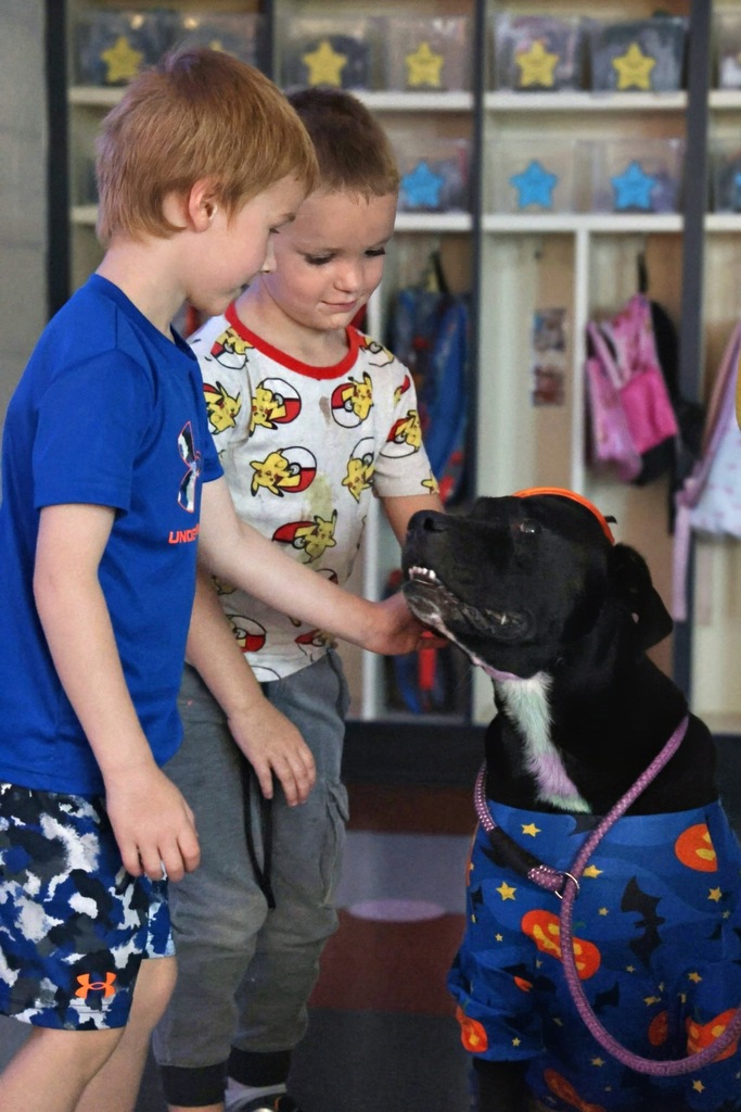 Students petting dog