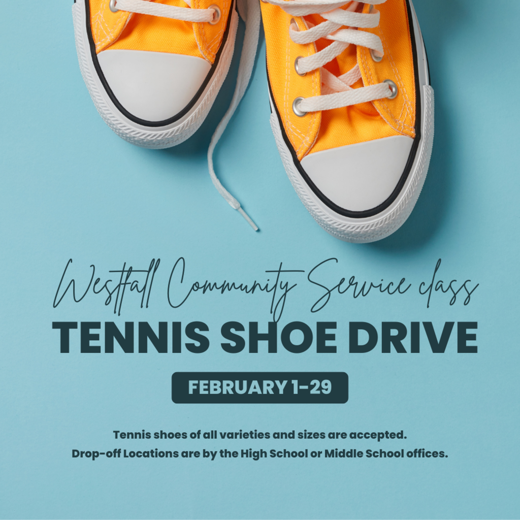 Orange Tennis Shoes on a Teal Blue Surface