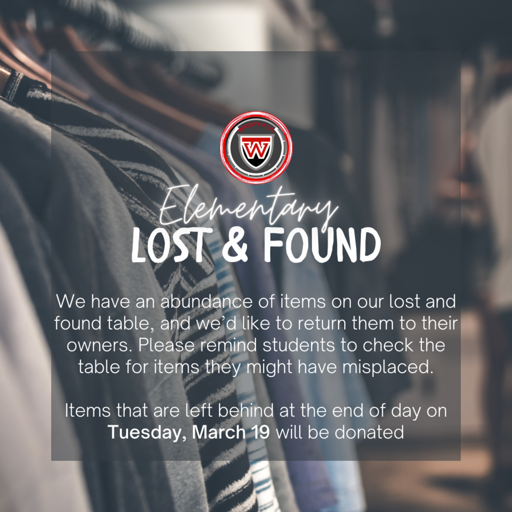 Elementary Lost & Found Post