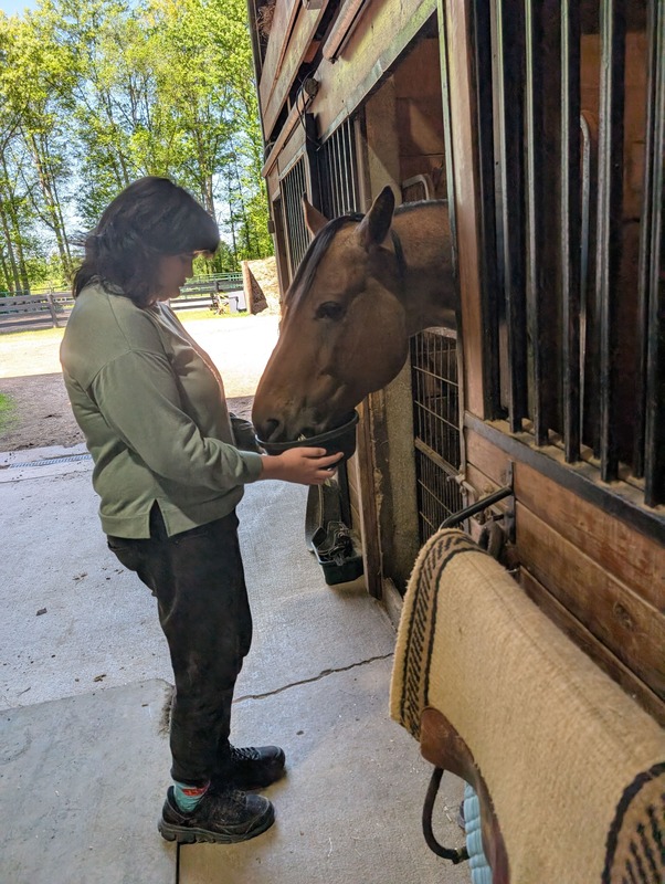 a girl petting a horse in a stall