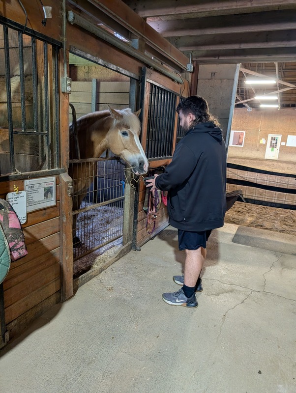 Student feeding horse in stall