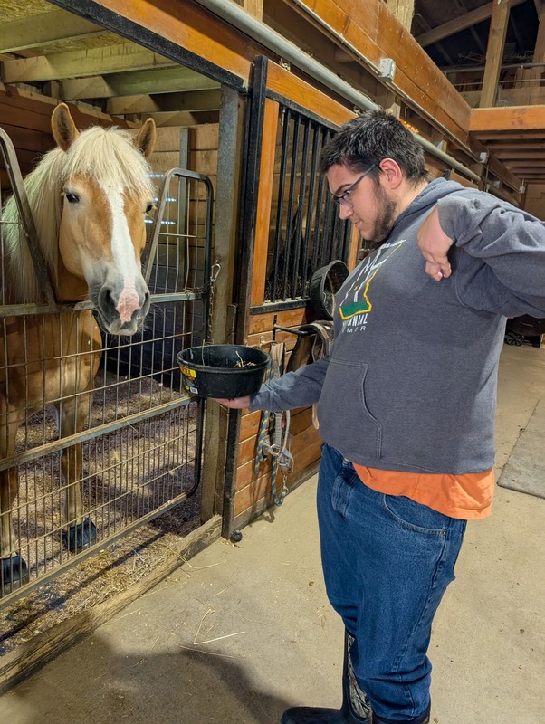 Student feeding horse in stall