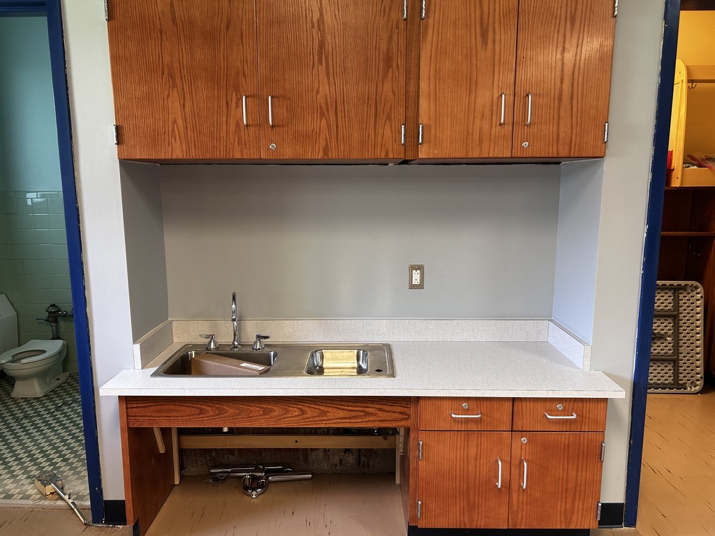 New Elementary Cabinets