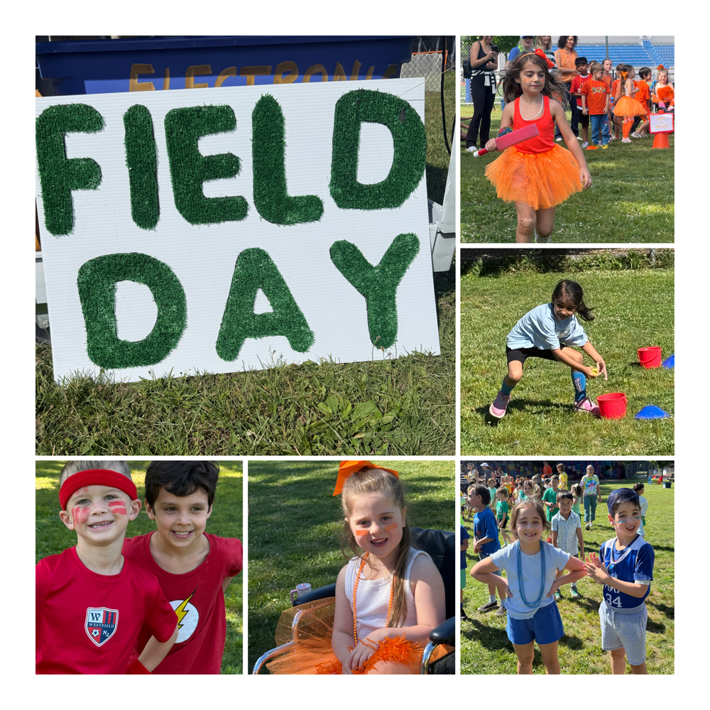 students engage in field day events