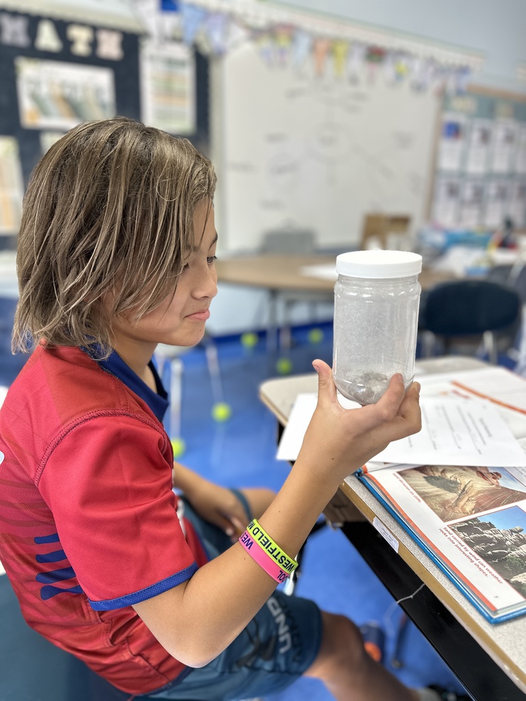 student observing rocks