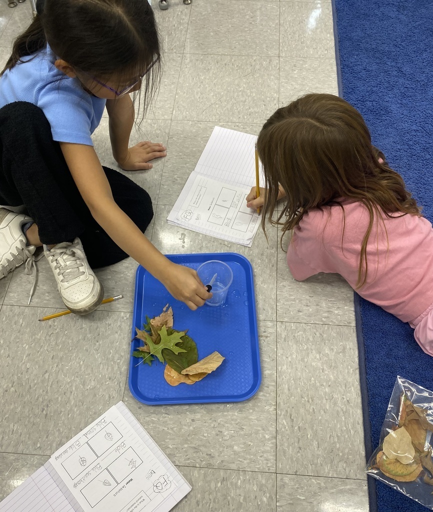 Two 3rd graders on classroom floor, working on a science project