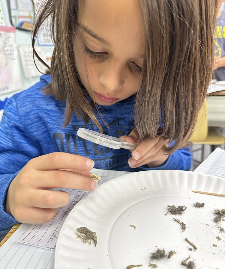 3rd grader uses magnifying glass in science lesson