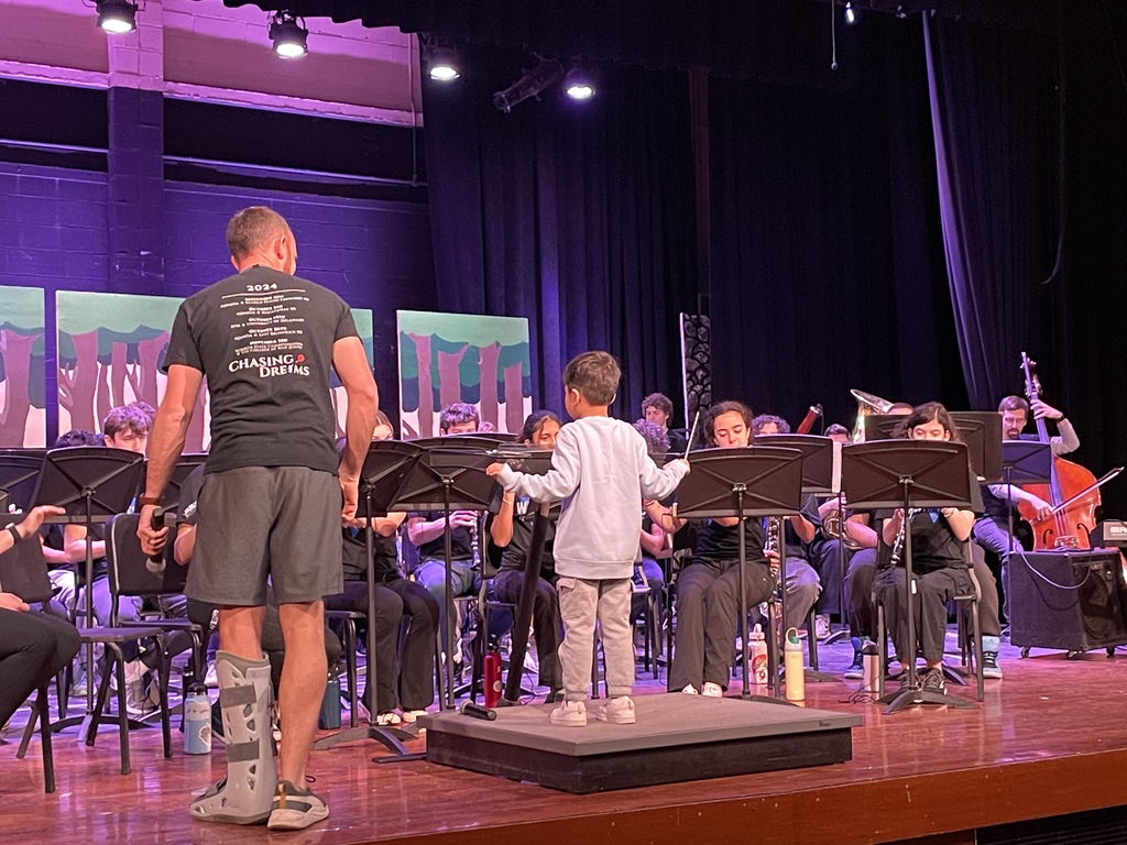 wild symphony performance