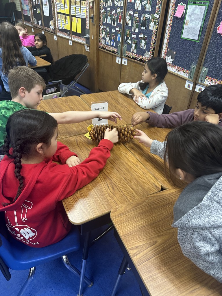 Students touch the large pine cone.
