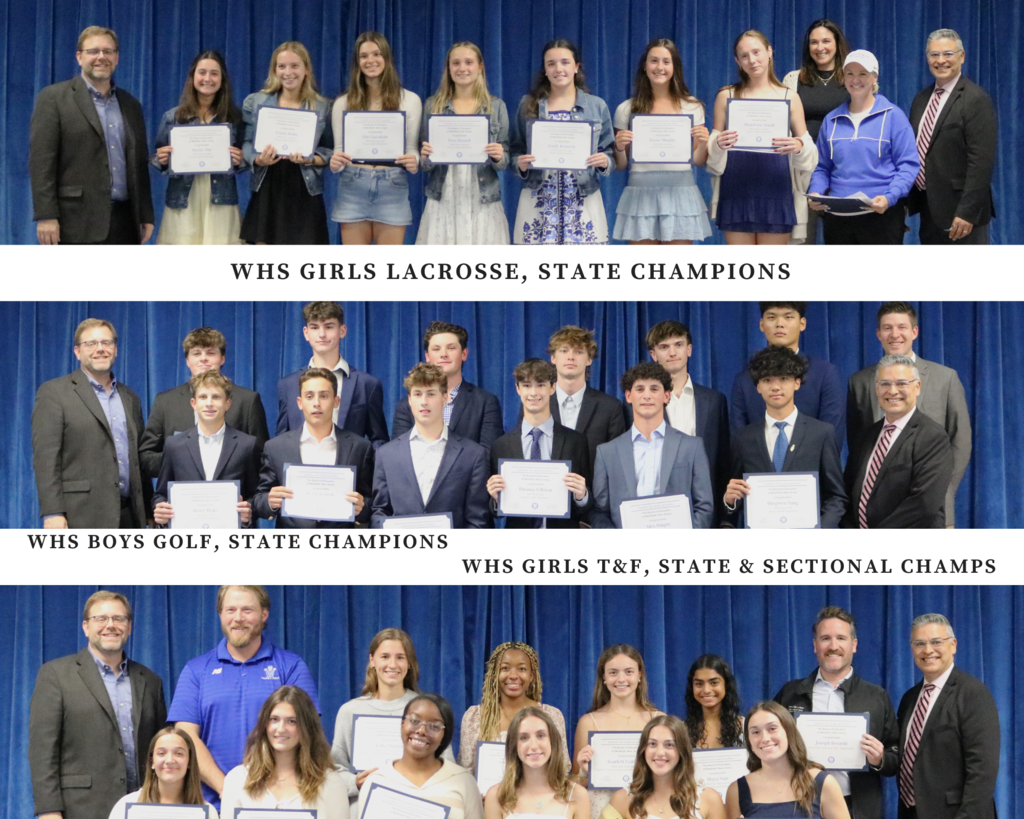 Photo Collage of spring athletes posing for picture at Board meeting