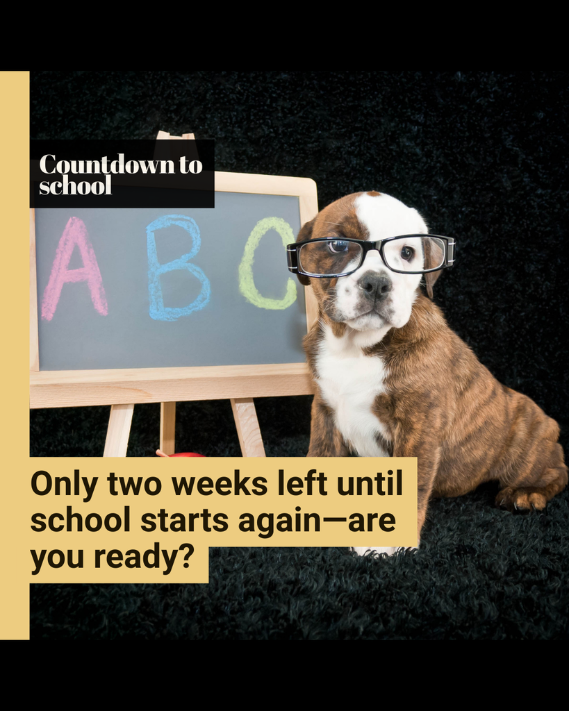 dog with glasses in front of chalkboard