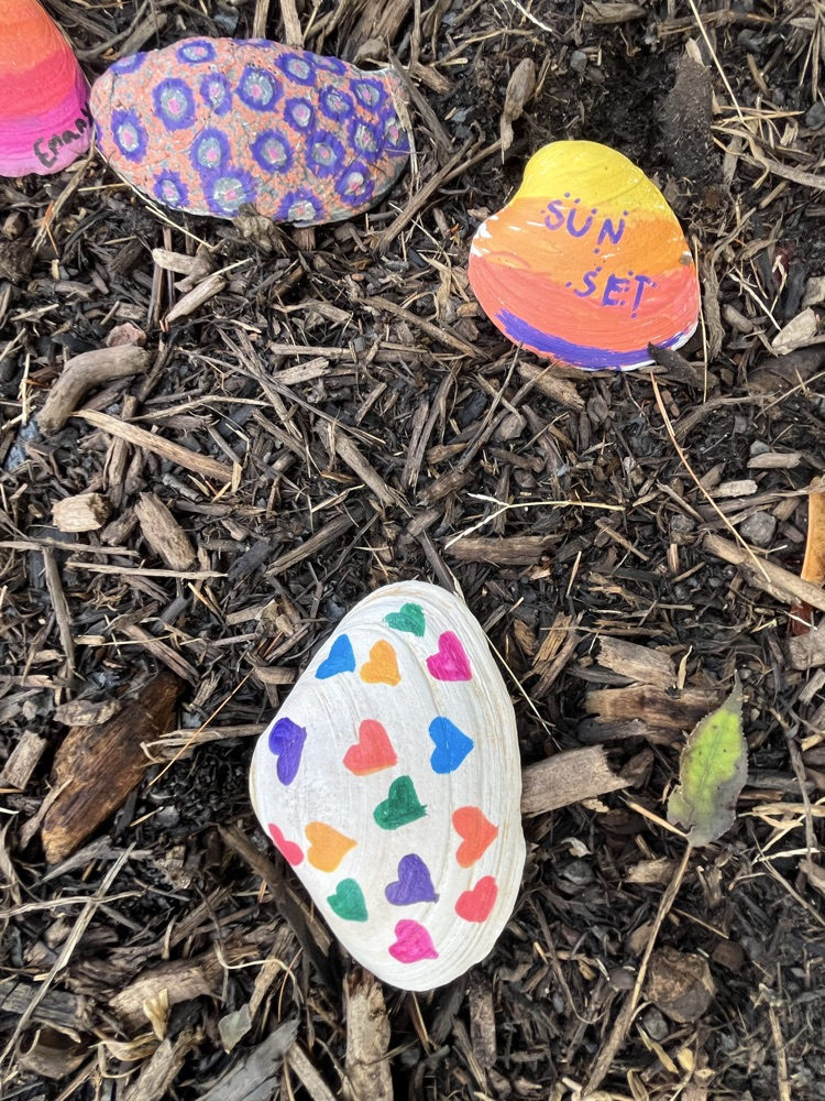 painted shells