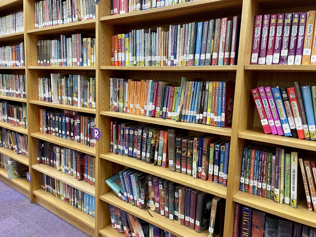 Our library stacks look great!