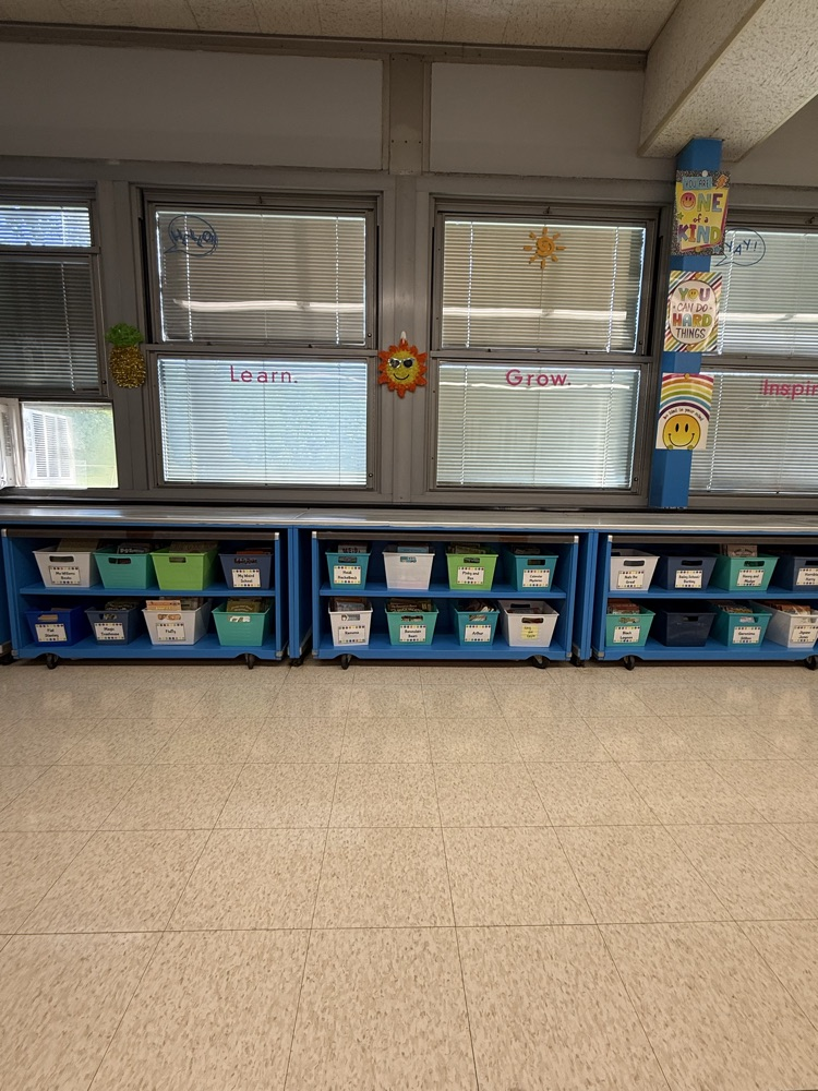 grade 2 room 2