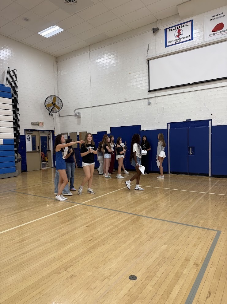 Freshman class takes tour of high school
