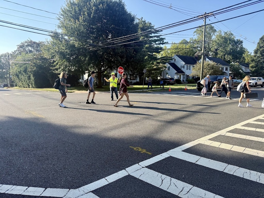 Crossing guard assisting students across the street