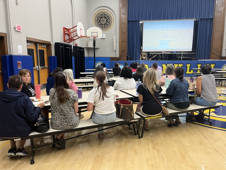 teacher professional development 
