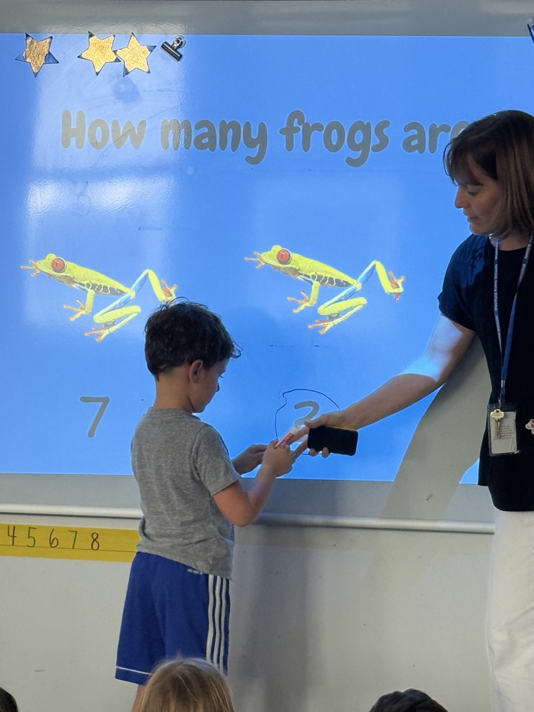 students count objects on the board