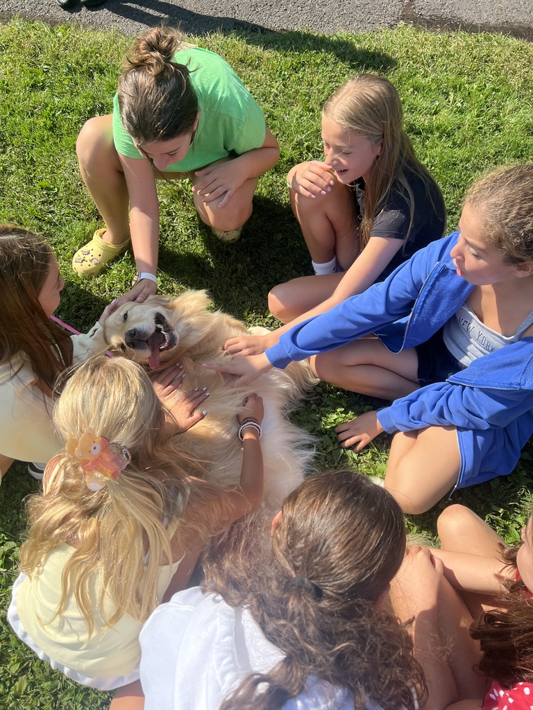 Therapy Dog Day at RIS